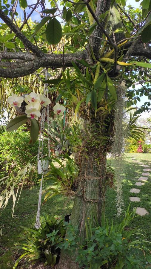 Villa Titemarina Le Gosier  Buitenkant foto